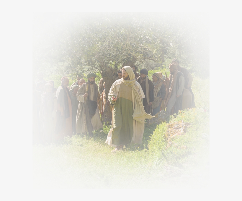 View Luke - Seek Ye First The Kingdom Of God Lds, transparent png download