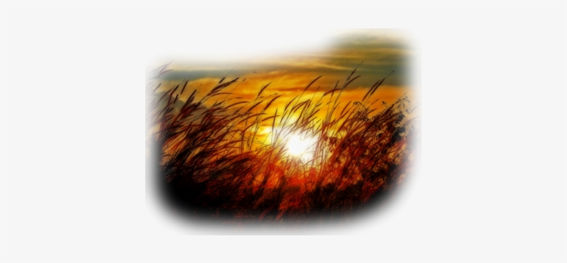 Sun Behind Grass - Painting, transparent png download