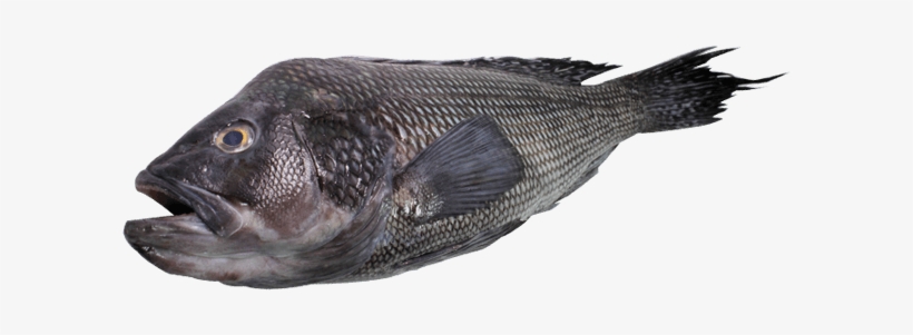 Skate - Wings - Fish With Black Skin White Meat, transparent png download