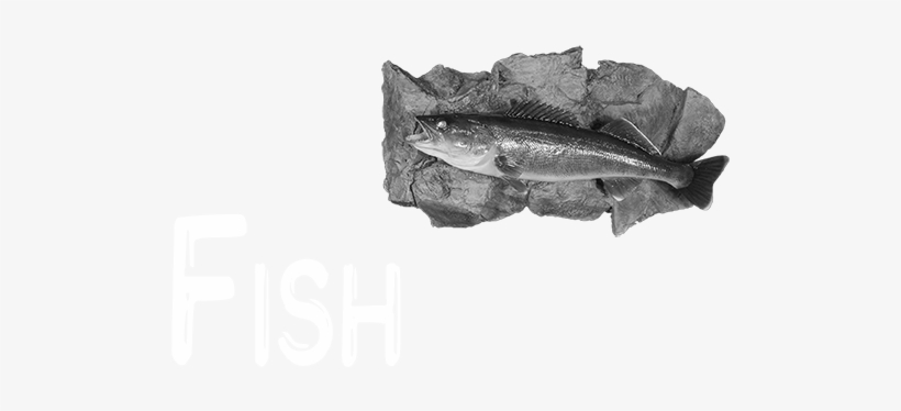 Fish - Gulf Flounder, transparent png download