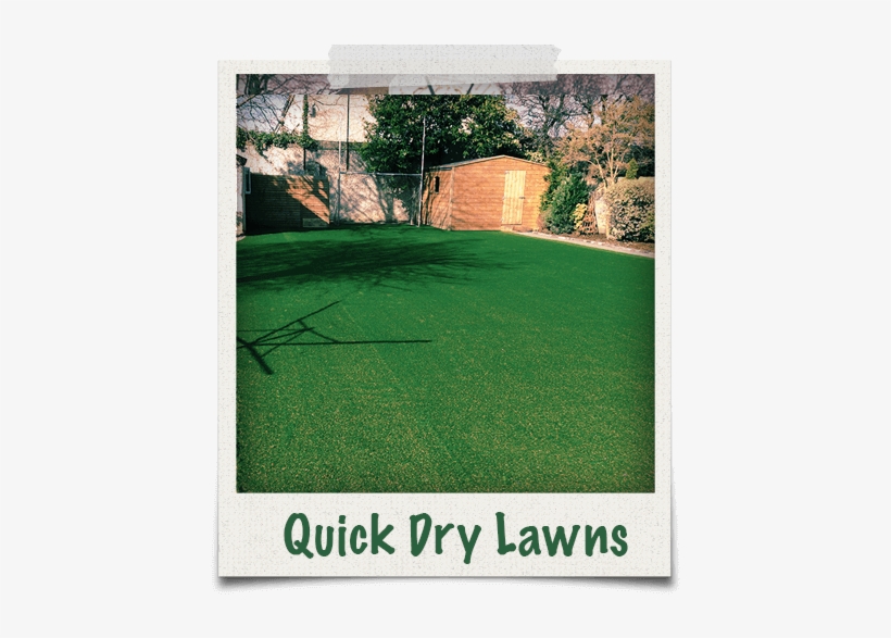 Our Garden Grass Is Quickly Dry After Rain - Mis Quince (miss Xv), transparent png download