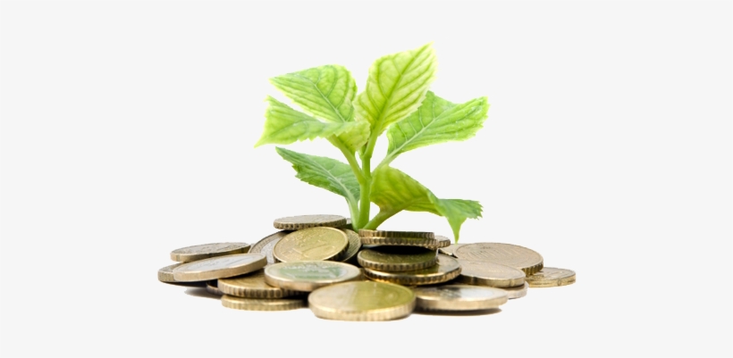 Any Valid Product/service Available In This Part Of - Reksadana Syariah, transparent png download