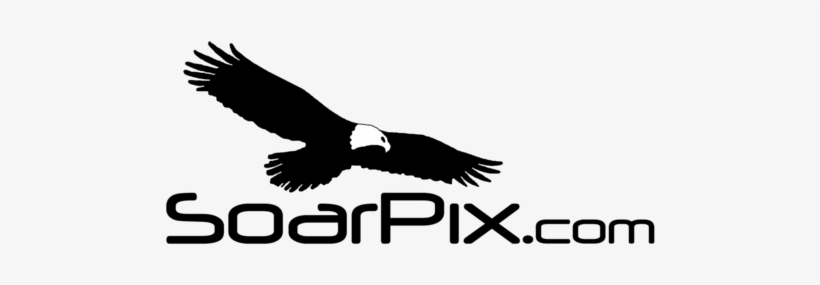 Cable Tie, transparent png download