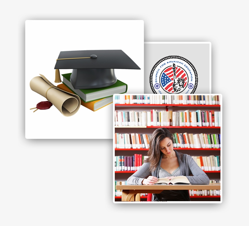 Top Universities In Usa And Canada For Indian Students - Ideas For Decorating Christmas Trees University, transparent png download