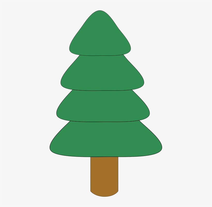 Kuusk 2 - Clipart Spruce, transparent png download