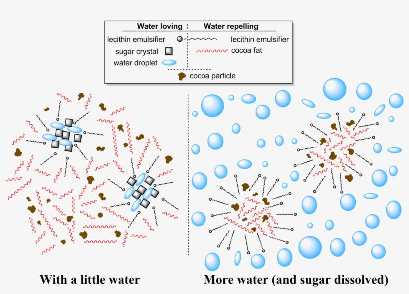 Schematic Drawing Of The Above Photos - Chocolate, transparent png download