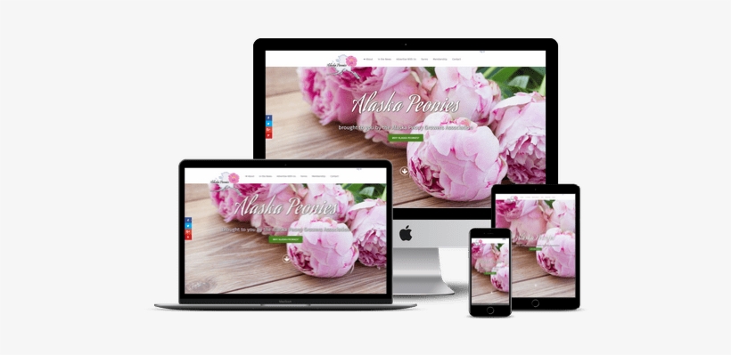 A Recent Project - Pink Peonies Photography By Eazl, Size: 24 X 16, Green, transparent png download