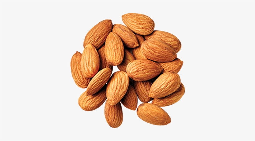 Dry Foods - Indian Almond, transparent png download