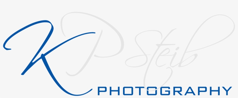 Kpsteib Photography - Dorothy Perkins, transparent png download