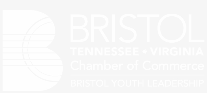 Bristol Youth Leadership Is A Seven-month Program In - Poster, transparent png download