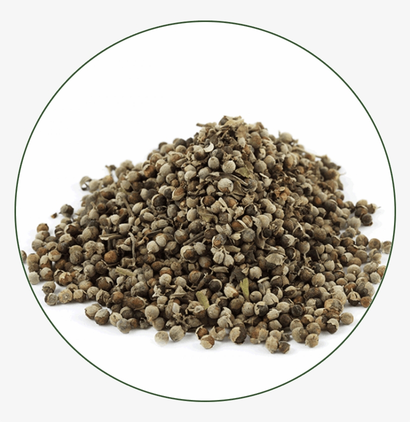 Chaste Tree Berry - Chaste Tree, transparent png download