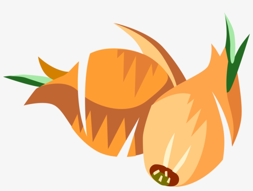 Vector Illustration Of Onion Bulb Vegetable - Illustration, transparent png download