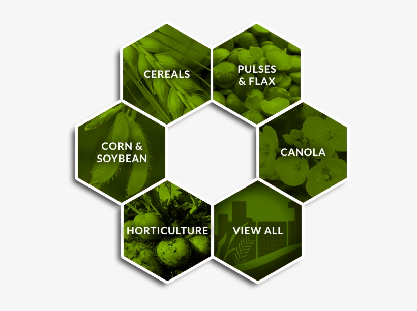 Search By Crop - Mastery Learning Model, transparent png download