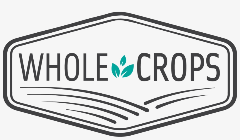 Heilbronn University, transparent png download