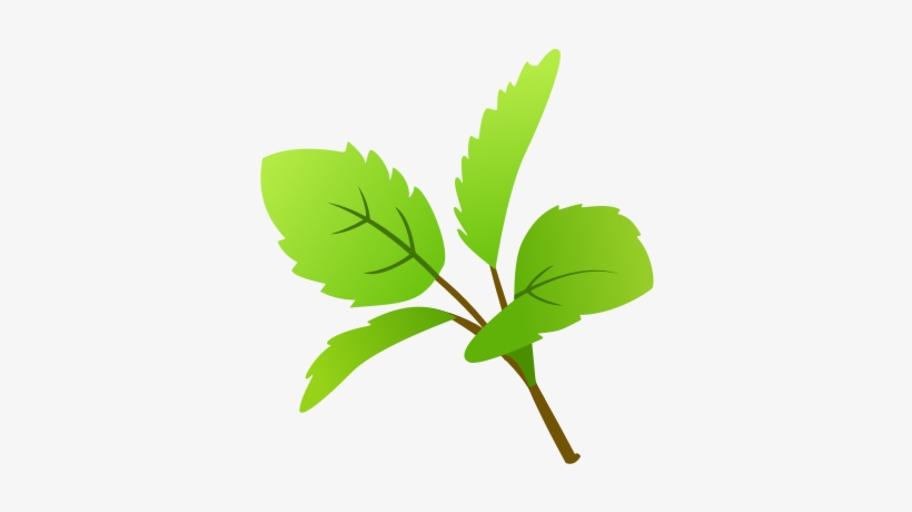 Tulsi - Hindi, transparent png download