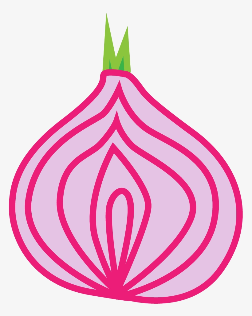 Onion, transparent png download