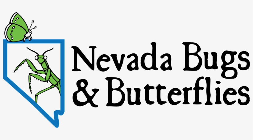 Nevada Bugs And Butterflies - Nevada Butterfly, transparent png download