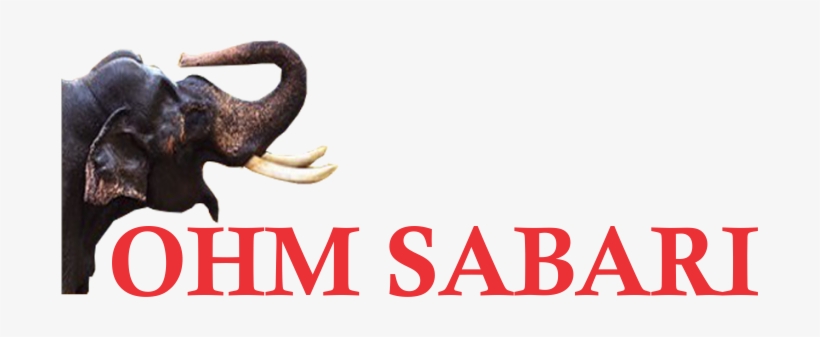 Premium - Horn, transparent png download