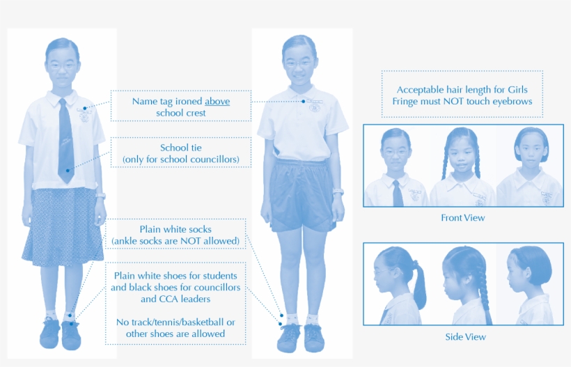 School, transparent png download