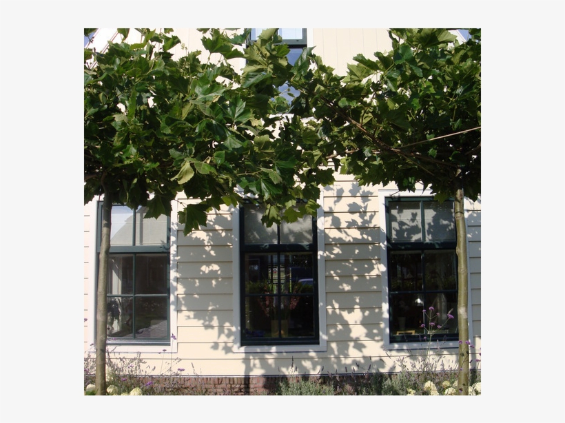 Beautiful Dutch Wooden House With Lots Of Comfort In - Window, transparent png download