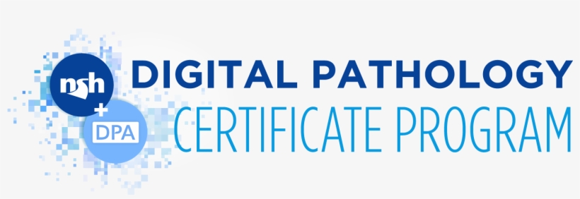 The National Society For Histotechnology, In Collaboration - Digital Marketing One To One, transparent png download