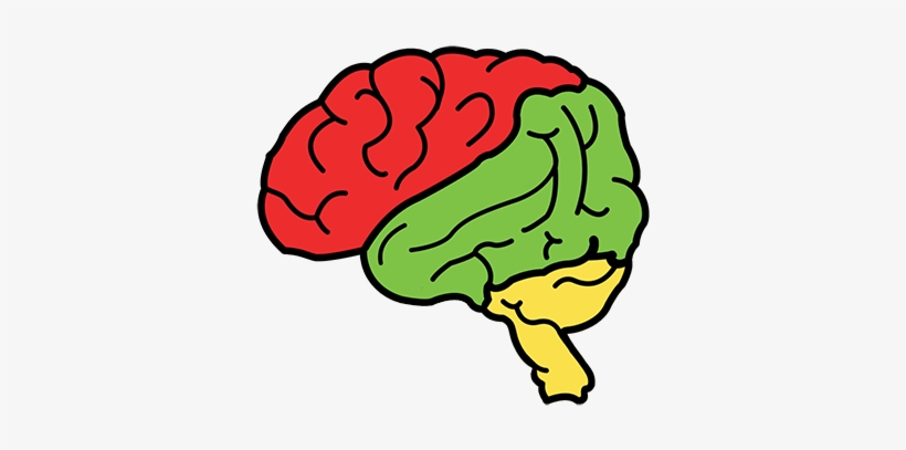 4) Enhancing Memory With Nicotine - Allergy, transparent png download