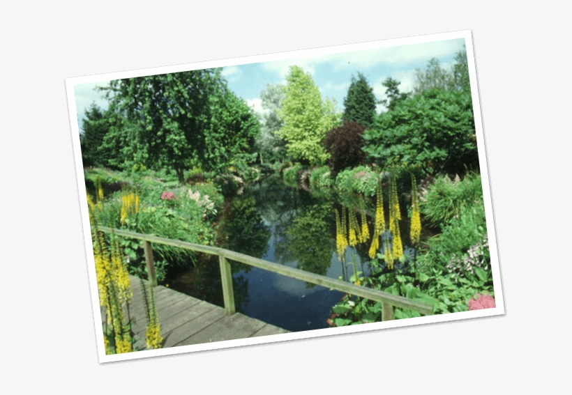 Time To Explore - Gooderstone Water Gardens, transparent png download