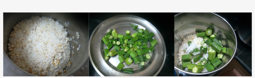 Don't Discard The Stem Part - Welsh Onion, transparent png download