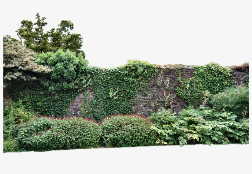 Walled Garden Png - Garden Png, transparent png download