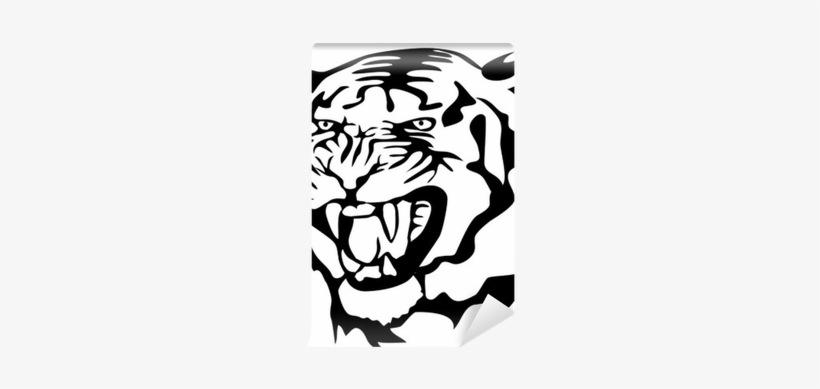Cat, transparent png download