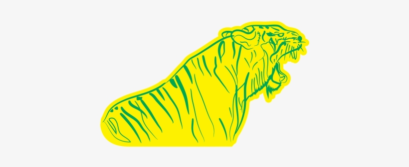 Cat, transparent png download