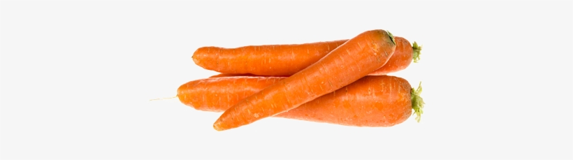 Legume Carotte Png Image Transparent Png Free Download On Seekpng