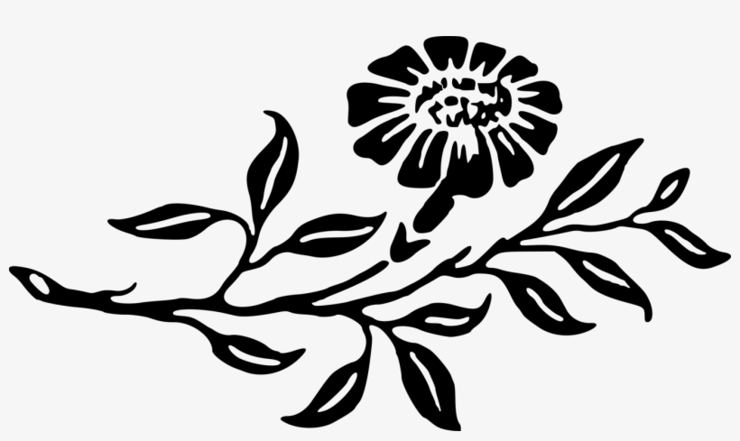 Flowering Plant Leaf Petal Floral Design - Flower, transparent png download