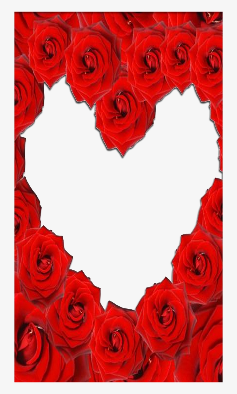 Red Rose Love Frame Rose Love Frame Png Image Transparent Png