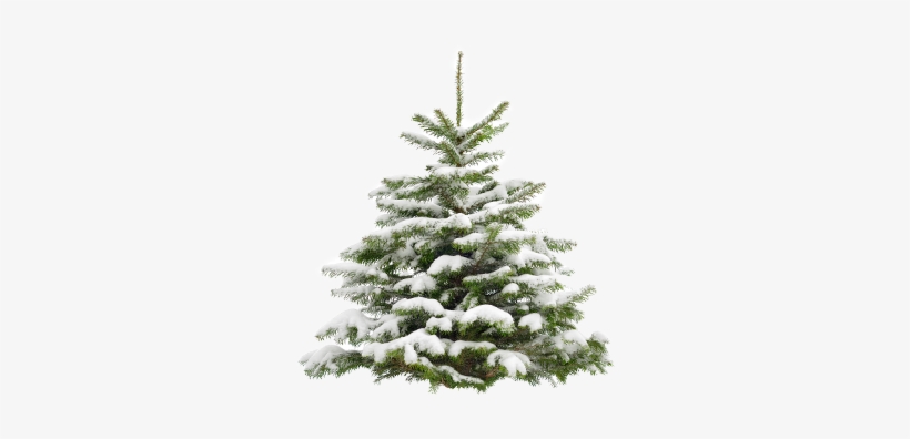 Prefer To Speak On The Phone You Can Call Us At - Christmas Tree Png, transparent png download