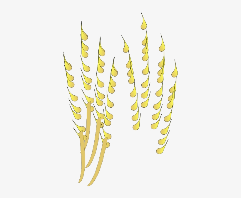 Spic De Grau Png, transparent png download