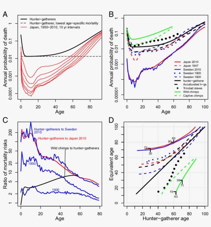 Annual Probability Of Death For Hunter Gatherers Compared - Diagram, transparent png download