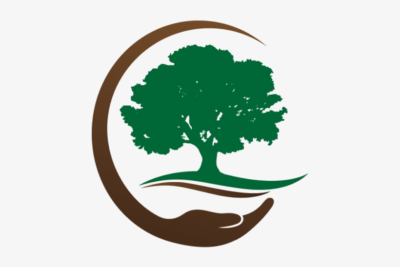 Tree, transparent png download