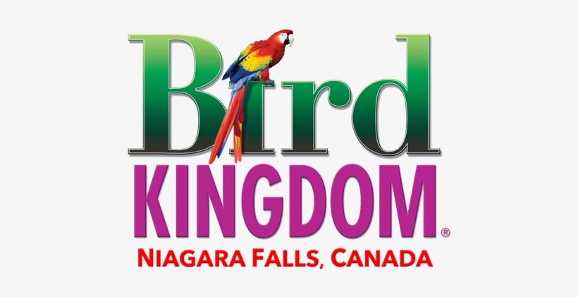 Home - Bird Kingdom, transparent png download