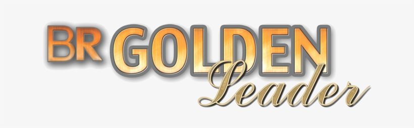 Owned By Baker Ranch/garland Baker & Whitney Davison - Brazos Valley Stallion Station, transparent png download