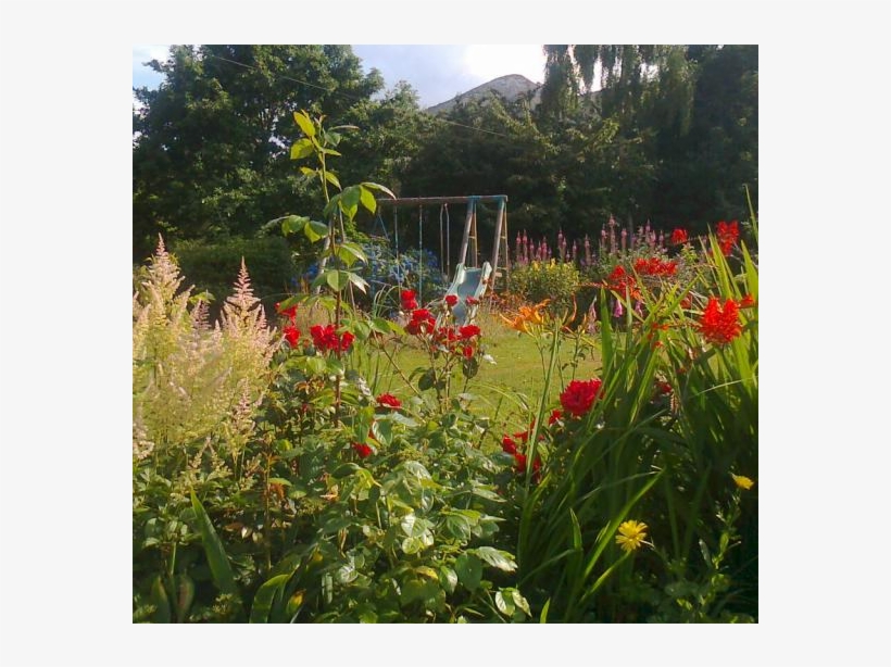 Excellent Lovely House Min Dublin City Centre With - Bottlebush, transparent png download