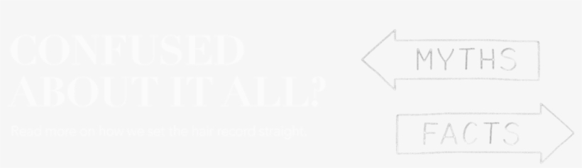 Hair Loss Myth Facts - Diagram, transparent png download