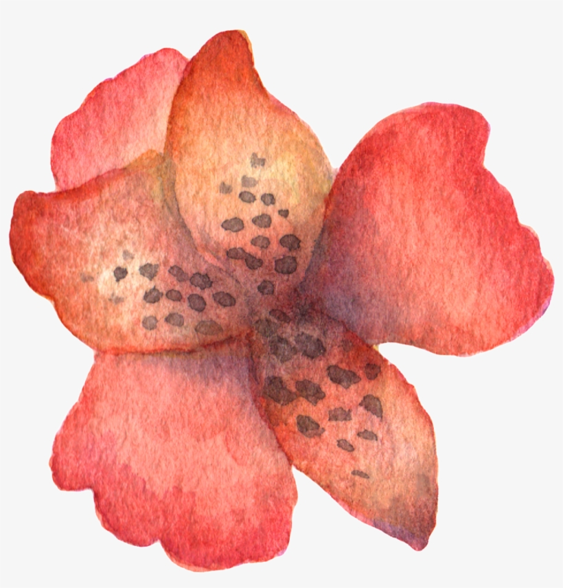 Hand Painted Stick Figure A Red Flower Watercolor Transparent - Watercolor Painting, transparent png download