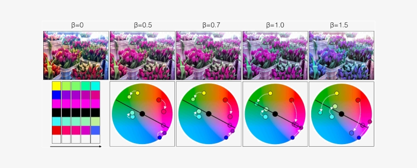 Results From Enforcing A Given Template Tm With Varying - Circle, transparent png download