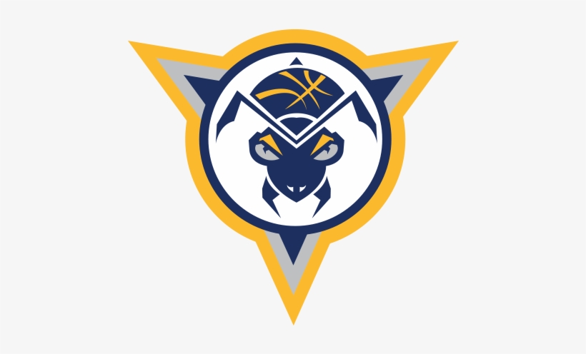 Fort Wayne Mad Ants Logo, transparent png download