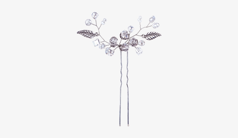 Shop Product - Moth Orchid, transparent png download