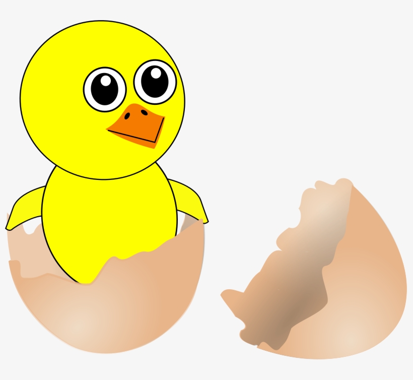Interesting Cartoon New Chicks From Eggs - Chick Coming Out From Egg, transparent png download