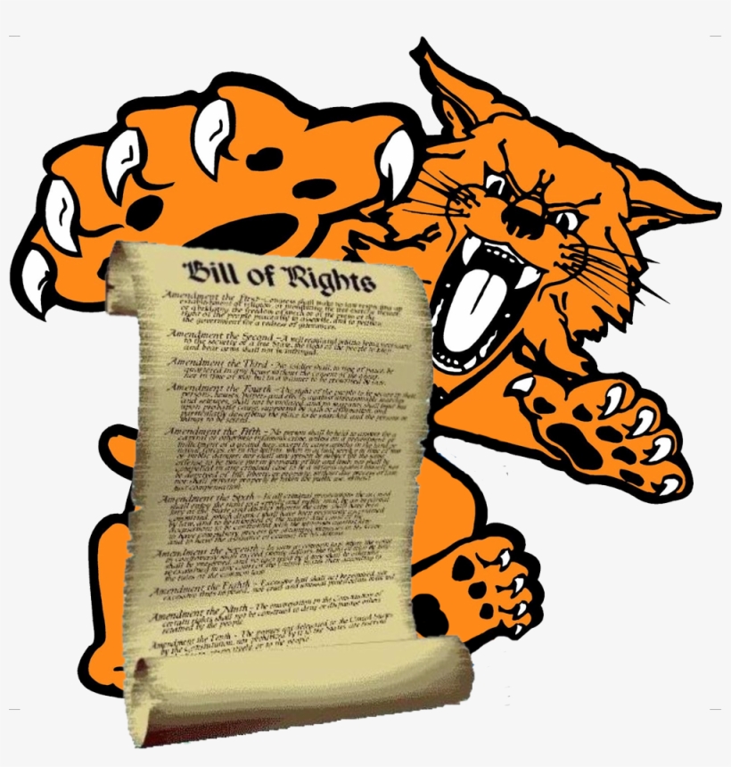 No 4th Amendment At The University Of Kentucky - University Of Kentucky Wildcat Logo, transparent png download