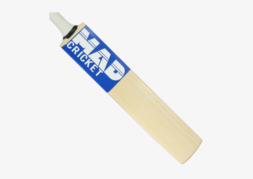 Cricket, transparent png download