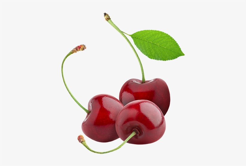 Cherries Are One Of Our Most Anticipated Fruits Of - Someone's In The Kitchen Als Ebook Von Janet Rochester, transparent png download
